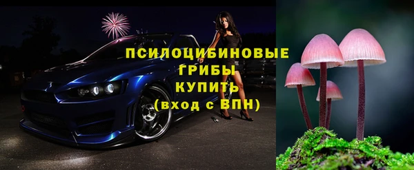 спиды Аркадак