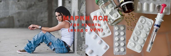 стаф Арсеньев