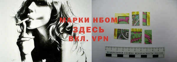 стаф Арсеньев