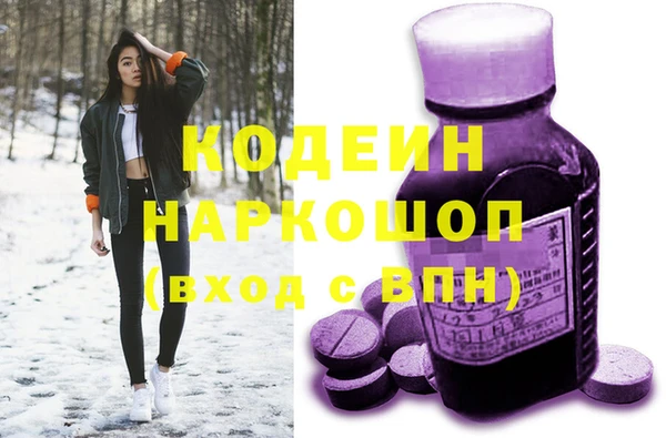 стаф Арсеньев