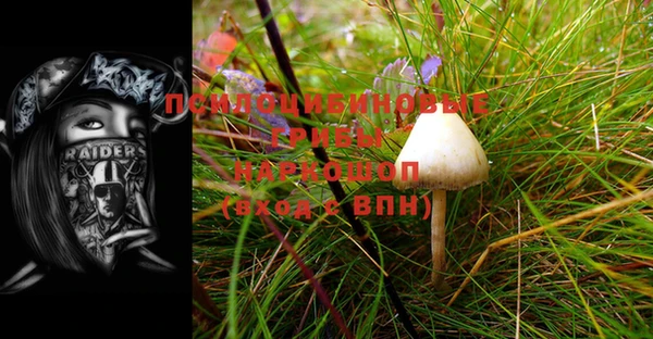 спиды Аркадак